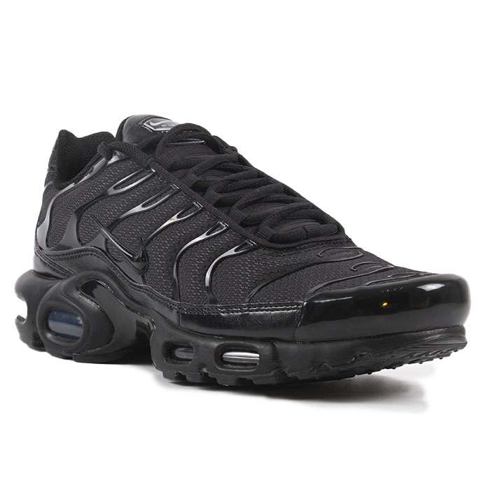 Кроссовки Nike Air Max Plus 604133-050