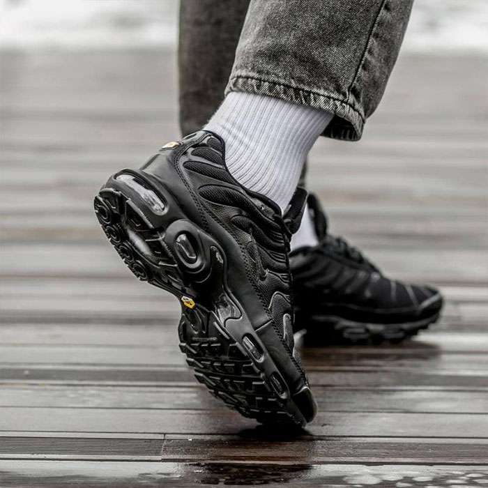 Кроссовки Nike Air Max Plus 604133-050